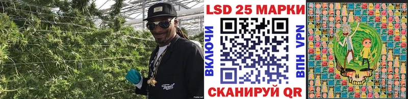 hydra как войти  Артём  Наркотические марки 1,8мг 