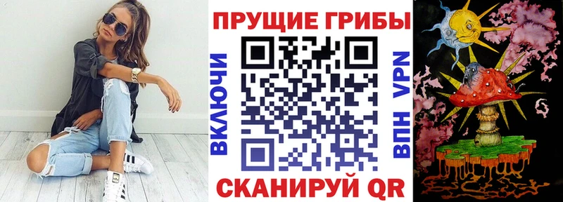 Псилоцибиновые грибы Psilocybine cubensis  Артём 